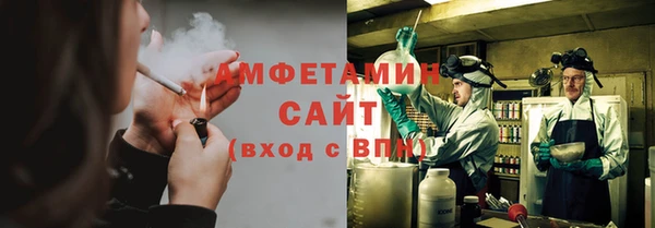 PSILOCYBIN Алзамай
