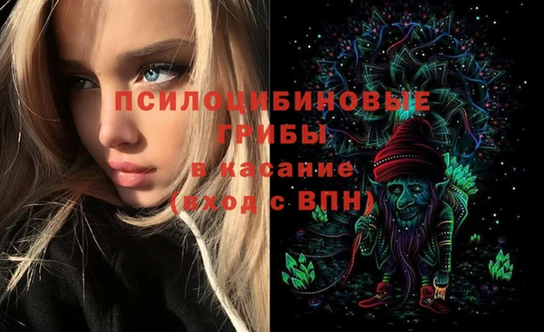 гидра Алексеевка