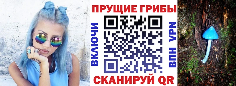 Псилоцибиновые грибы ЛСД  гидра ONION  Подольск 